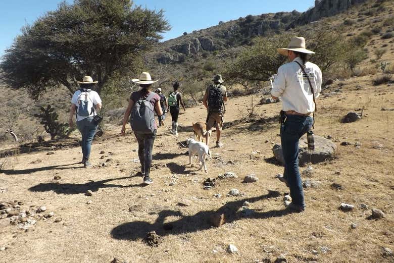 Senderismo por el Cañón Coyote