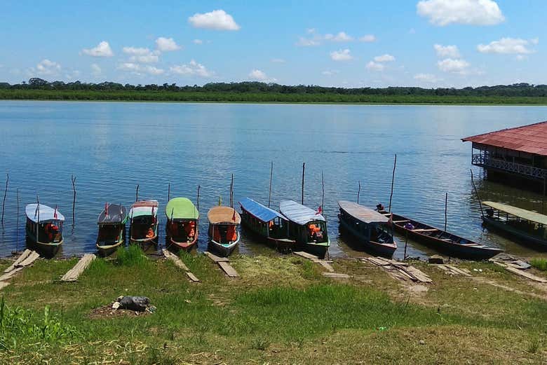 Excursión de medio día a la laguna Yarinacocha