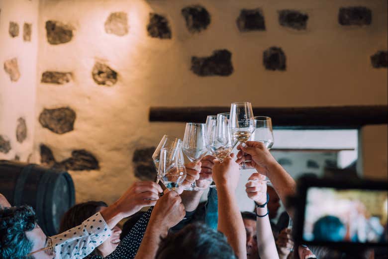 Visita a la bodega Vega de Yuco Testeina