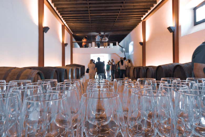 Visita a la bodega Vega de Yuco Testeina
