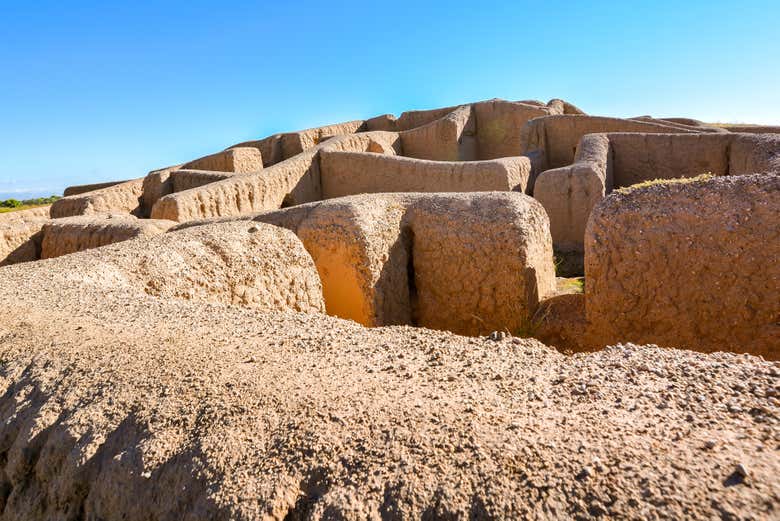Excursión a Paquimé y Mata Ortiz