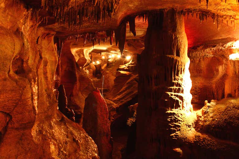 Excursión a las grutas de Coyame - Galería 2