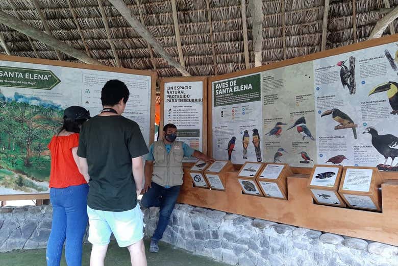 Excursión privada a la reserva Santa Elena + Nacimiento del río Tioyacu