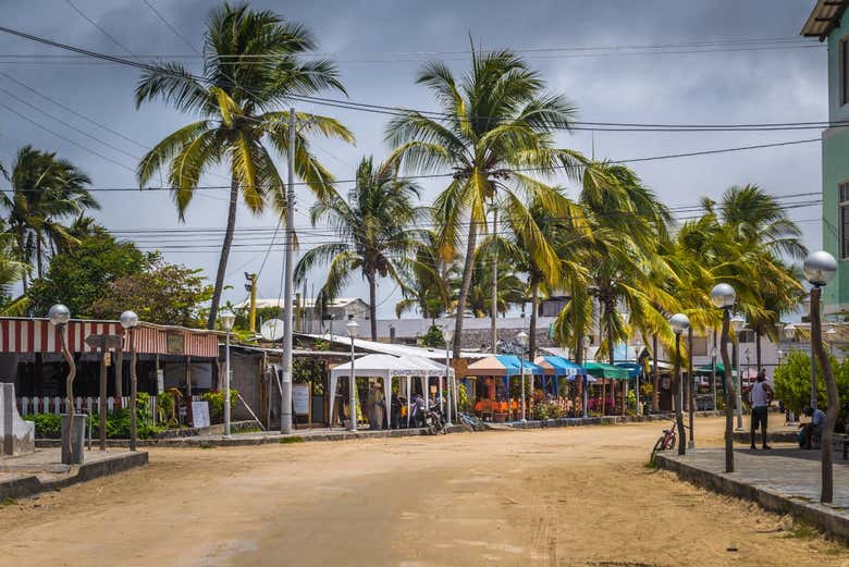 Alquiler de bicicleta en Isla Isabela