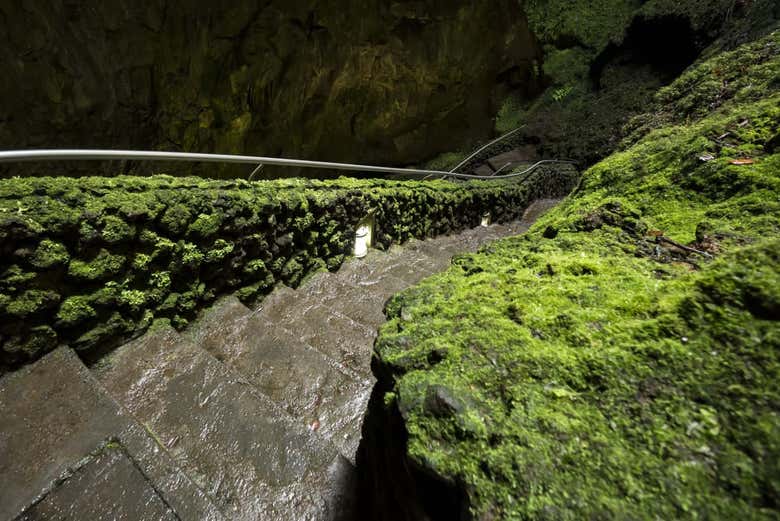 Excursión a las cuevas volcánicas de Terceira + Lagoa das Patas