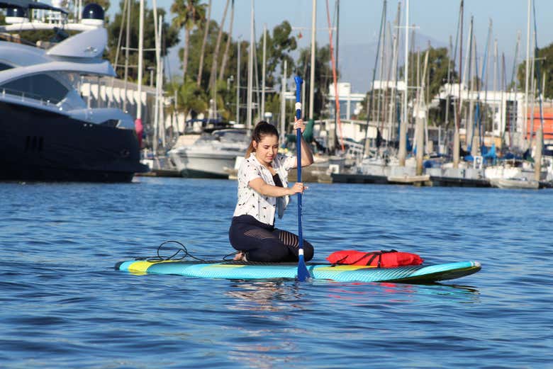 Paddle surf con leones marinos en Marina del Rey