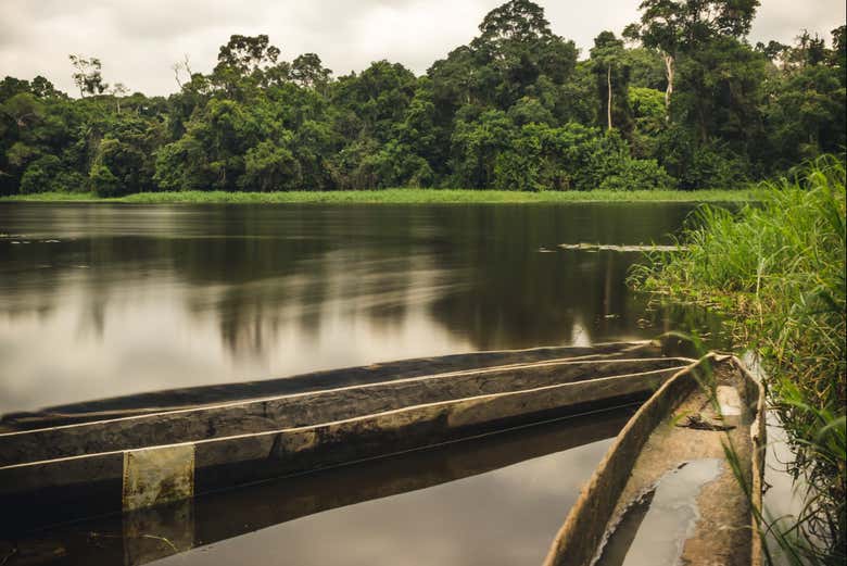 Excursión al Parque Nacional Mefou y reserva forestal Ebogo