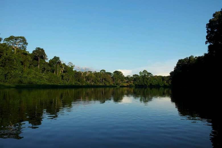 Excursión al Parque Nacional Mefou y reserva forestal Ebogo - Galería 1