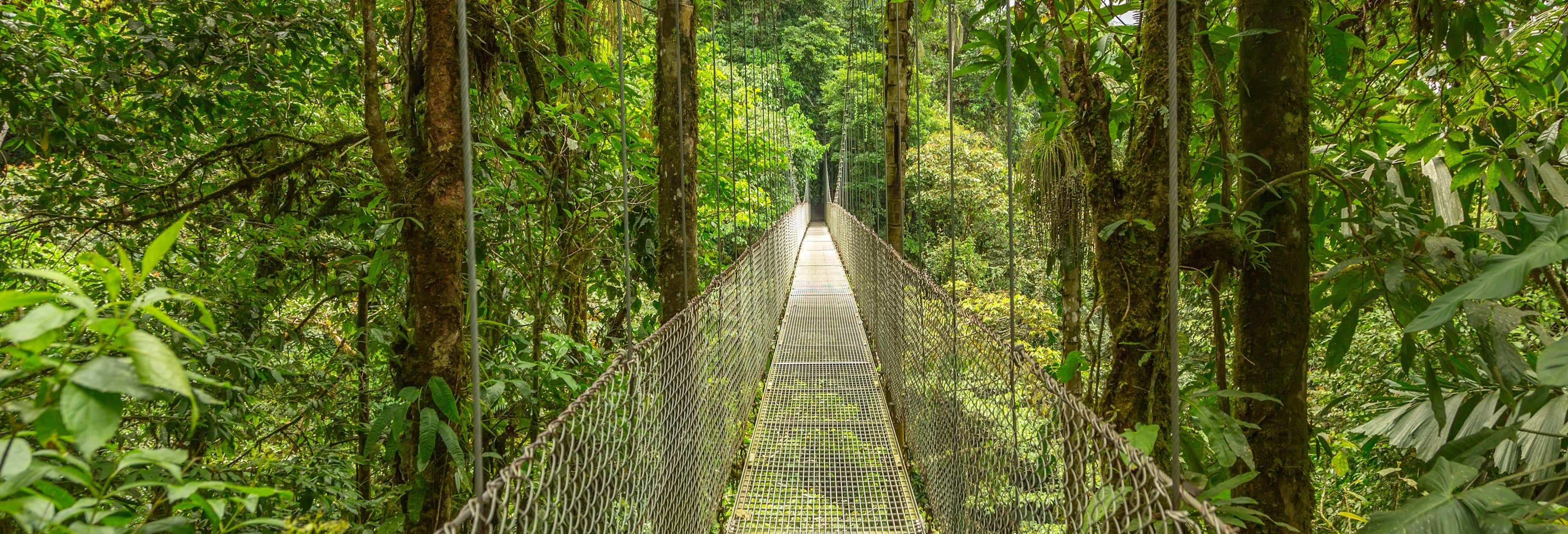 Excursión al Sky Adventures Monteverde Park