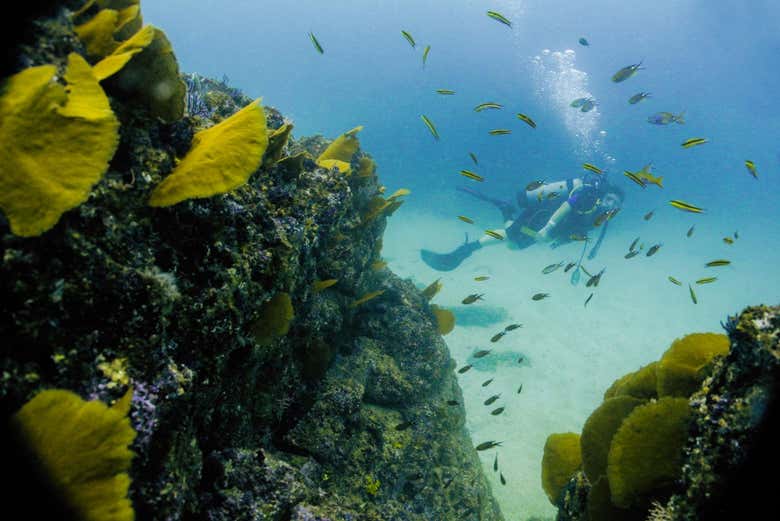 Bautismo de buceo en Las Caletas