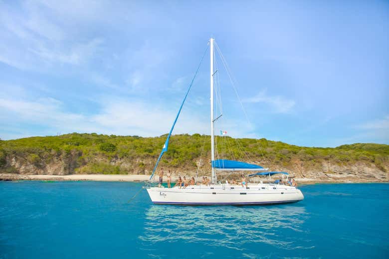 Paseo en velero por la Bahía de Banderas - Galería 1