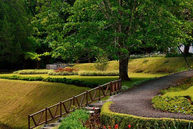 Tour privado del té por Isla Mauricio
