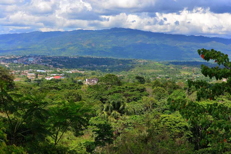 Tour privado por Moyobamba