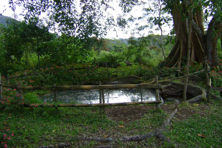 Ruta privada de senderismo por la cascada Aguas Calientes