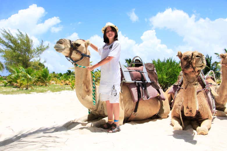 Paseo en camello por Riviera Maya