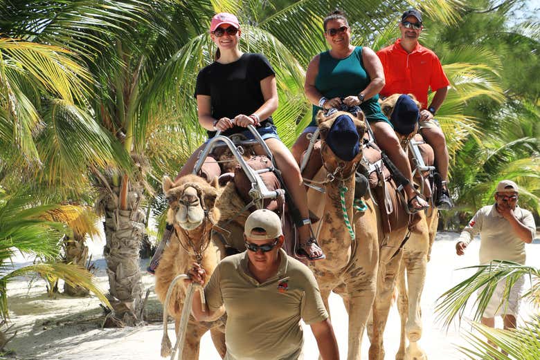 Paseo en camello por Riviera Maya
