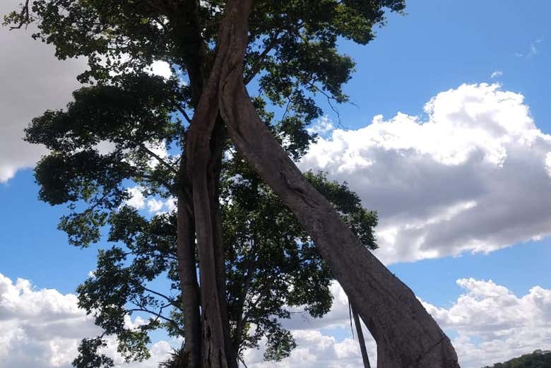 Excursión a Chã Preta y Serra Lisa