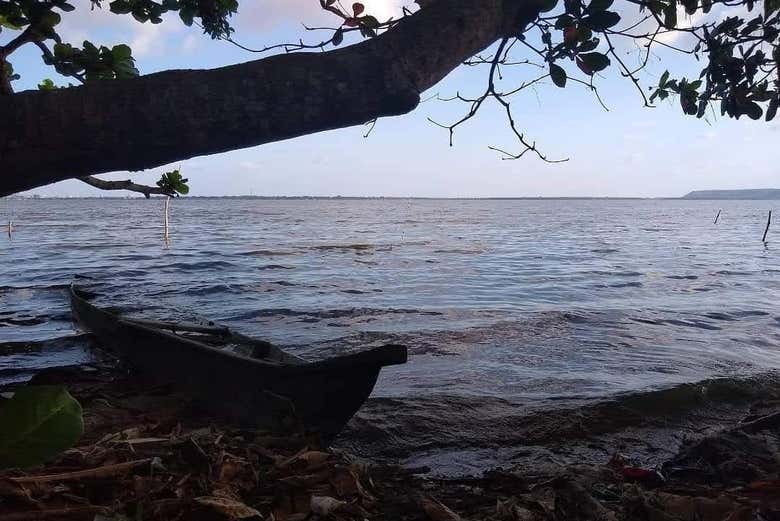 Tour por Pontal da Barra + Lagos Mundaú y Manguaba