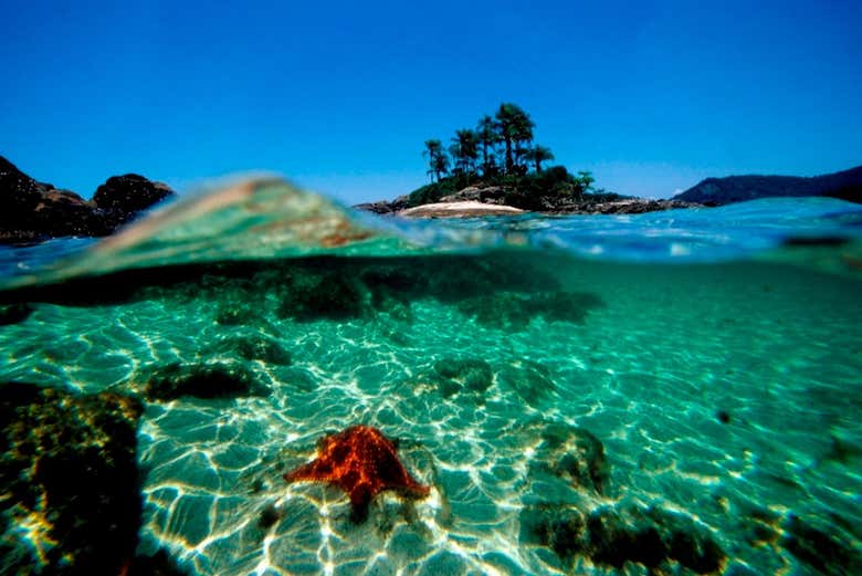 Paseo en barco por las Ilhas Botinas + Playas de Angra dos Reis