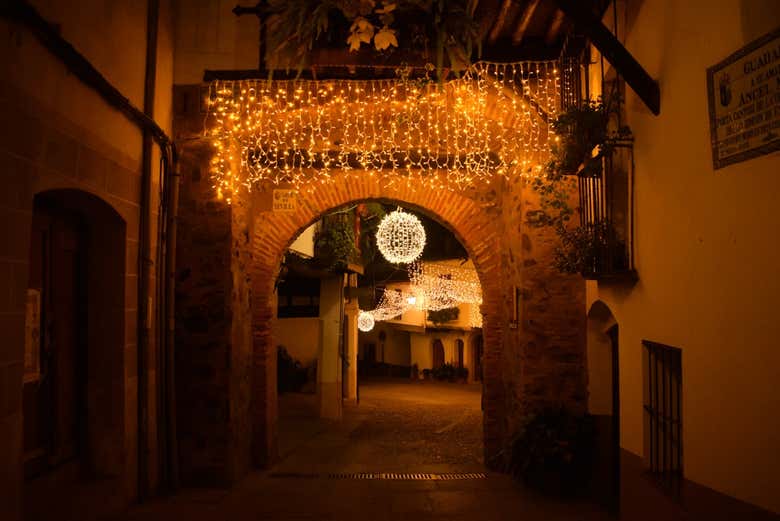 Tour navideño por Guadalupe - Galería 2