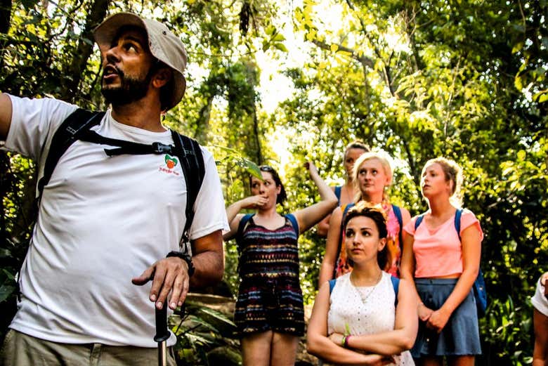 Senderismo por el Parque Nacional de Tijuca