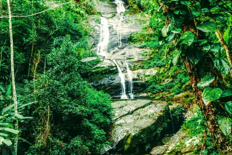 Tour por los parques nacionales de Río de Janeiro