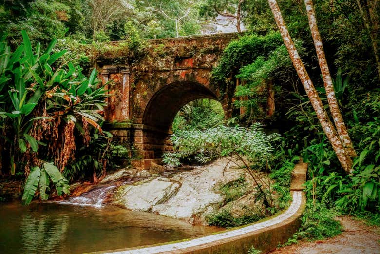 Tour por los parques nacionales de Río de Janeiro