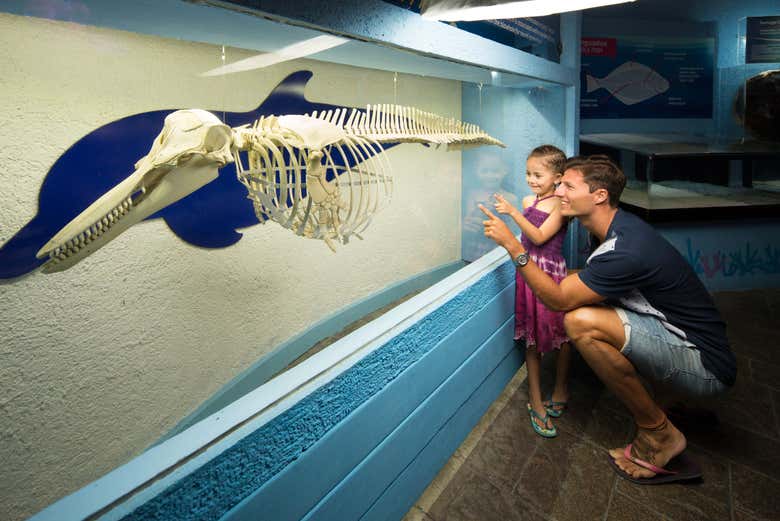 Entrada al Acuario Interactivo de Cancún