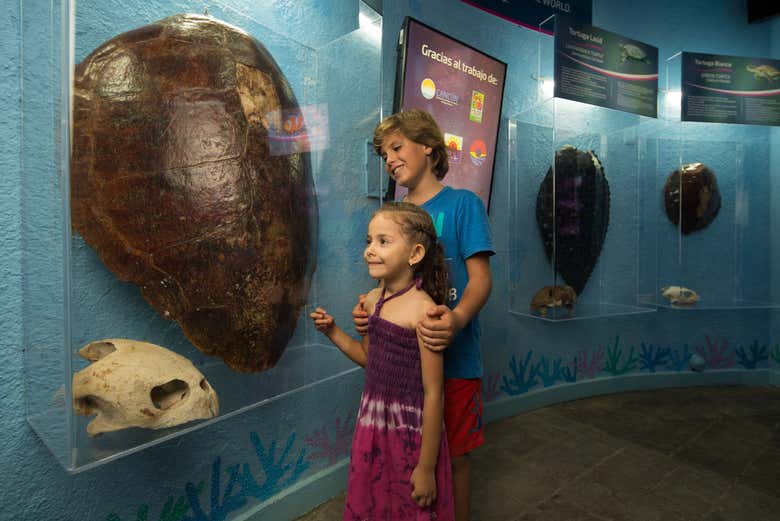 Entrada al Acuario Interactivo de Cancún