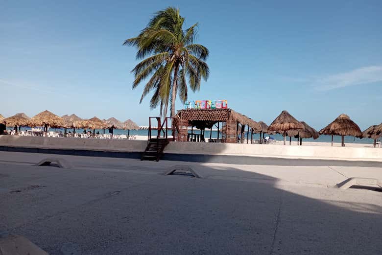 Excursión a Progreso