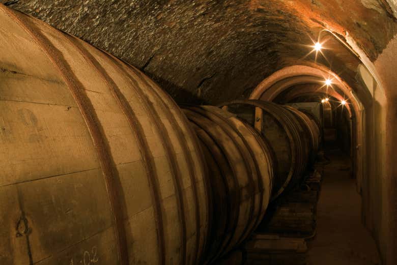 Visita a las Bodegas De Alberto