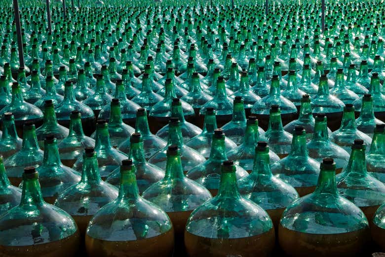 Visita a las Bodegas De Alberto