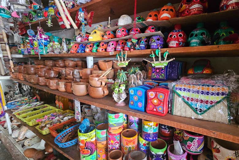 Excursión a Puerto Escondido - Galería 2