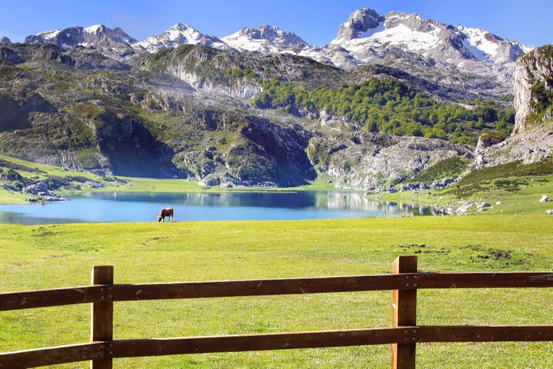 Paseo a caballo por los Picos de Europa
