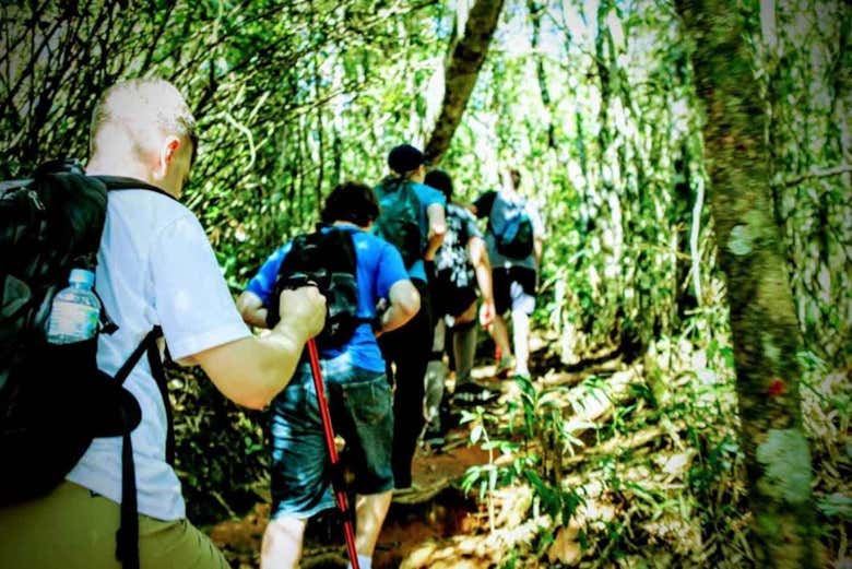 Tour de aventura por el Parque Nacional de Tijuca