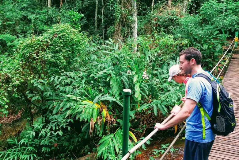 Tour de aventura por el Parque Nacional de Tijuca
