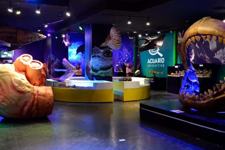 Entrada al Acuario Inbursa + Transporte