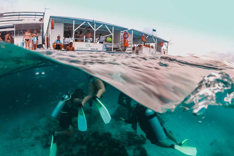 Paseo en barco con snorkel en el arrecife de Maracajaú - Galería 1
