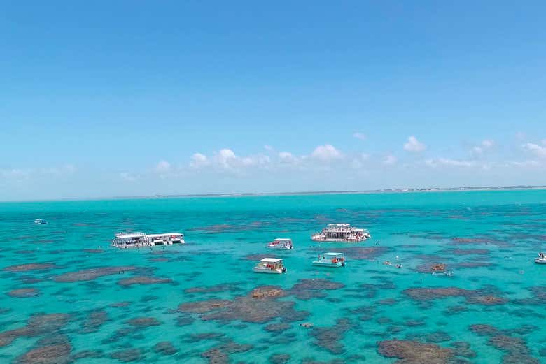 Paseo en barco con snorkel en el arrecife de Maracajaú - Galería 2
