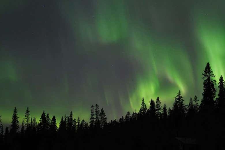 Tour de la aurora boreal por Luleå