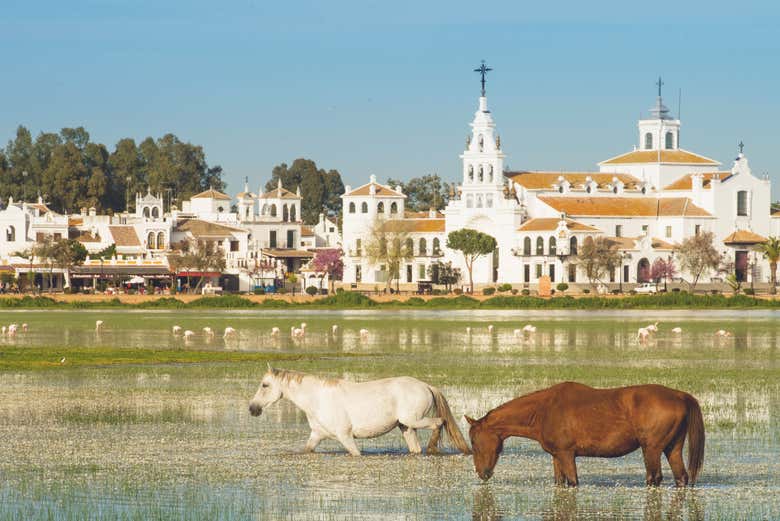 Tour en 4x4 por el Parque Nacional de Doñana
