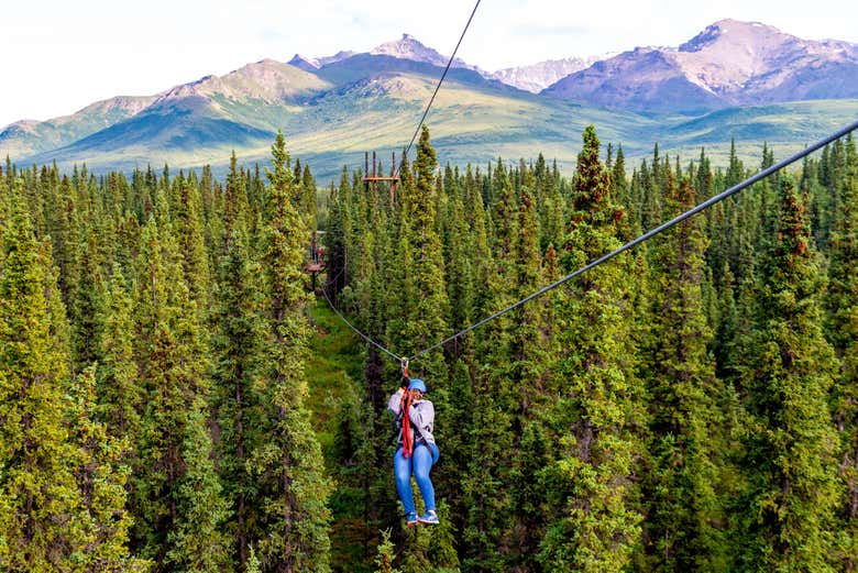 Tirolina en el Parque Nacional Denali