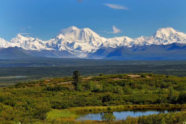 Tour en 4x4 por Denali Highway