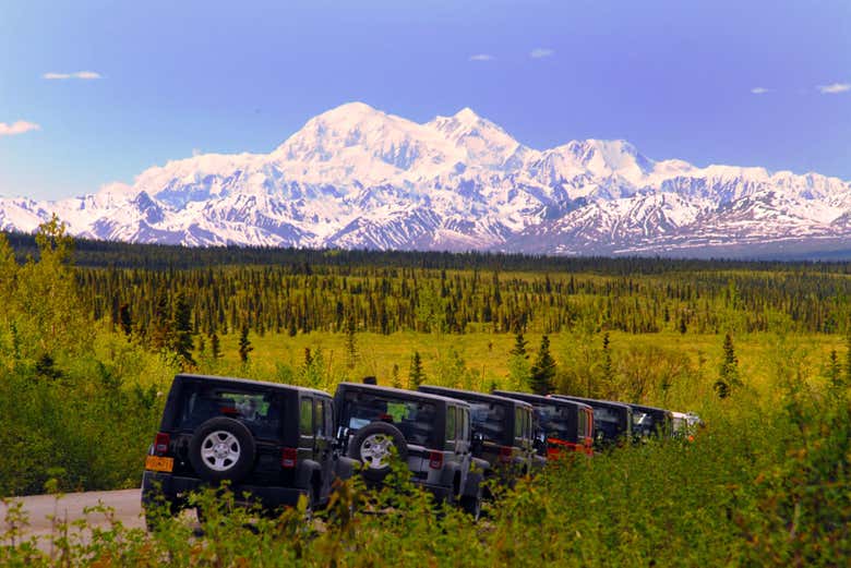 Tour en 4x4 por Denali Highway