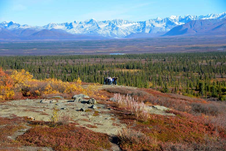 Tour en 4x4 por Denali Highway