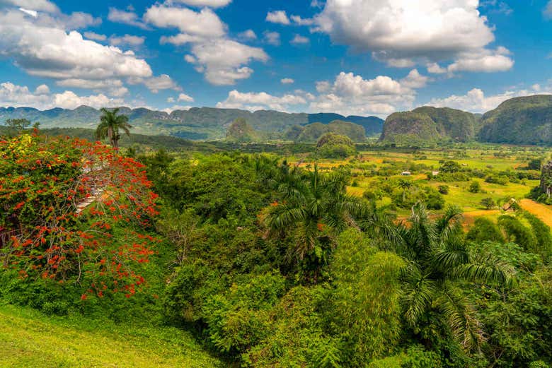 Tour privado en coche clásico por el Valle de Viñales