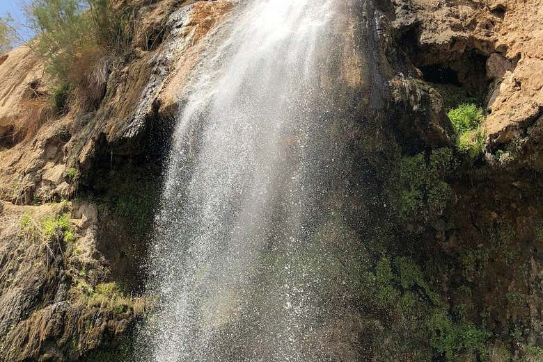 Excursión a las aguas termales de Ma’in
