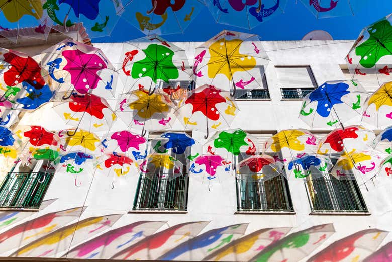 Tour privado por Águeda - Galería 2
