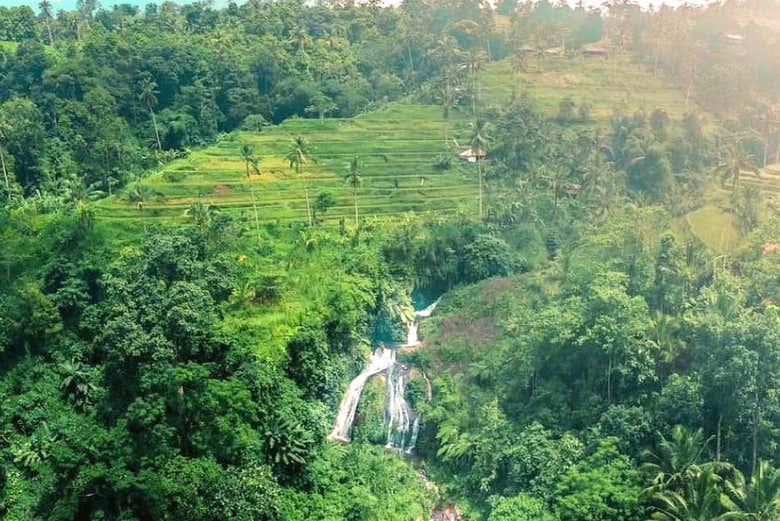 Ruta privada de senderismo por Sekumpul + Templo Pura Ulun Danu Bratan