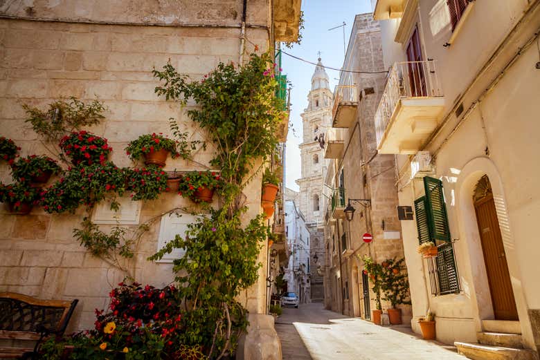 Visita guiada por Monopoli